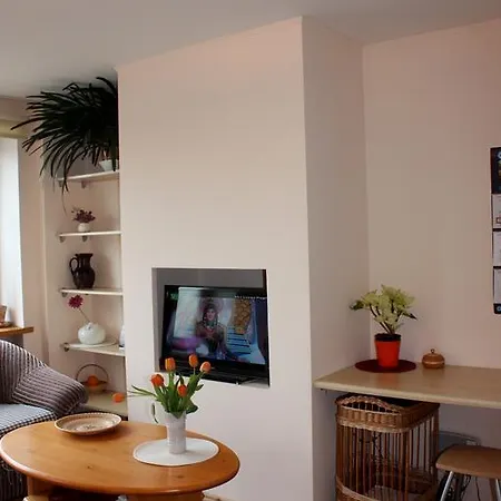 Brivibas Street Studio Apartment