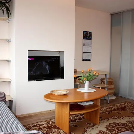 Brivibas Street Studio Apartment *
